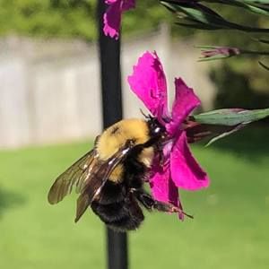 Meet your Posher, Rochelle